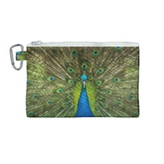 Peacock Feathers Bird Plumage Canvas Cosmetic Bag (medium) by Perong