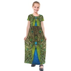 Peacock Feathers Bird Plumage Kids  Short Sleeve Maxi Dress