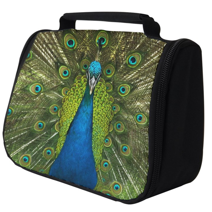 Peacock Feathers Bird Plumage Full Print Travel Pouch (Big)