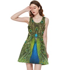 Peacock Feathers Bird Plumage Inside Out Racerback Dress