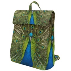 Peacock Feathers Bird Plumage Flap Top Backpack