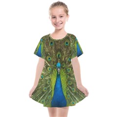 Peacock Feathers Bird Plumage Kids  Smock Dress