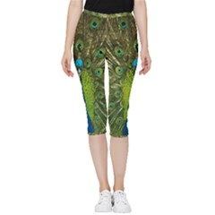 Peacock Feathers Bird Plumage Inside Out Lightweight Velour Capri Leggings 