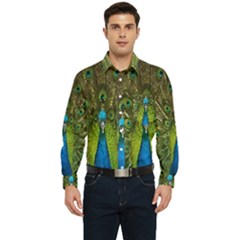 Peacock Feathers Bird Plumage Men s Long Sleeve Pocket Shirt 