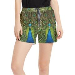 Peacock Feathers Bird Plumage Women s Runner Shorts