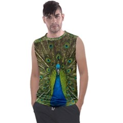 Peacock Feathers Bird Plumage Men s Regular Tank Top by Perong