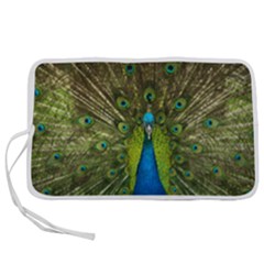 Peacock Feathers Bird Plumage Pen Storage Case (m) by Perong