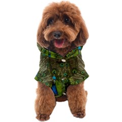 Peacock Feathers Bird Plumage Dog Coat