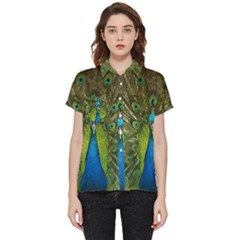 Peacock Feathers Bird Plumage Short Sleeve Pocket Shirt