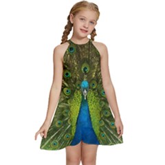 Peacock Feathers Bird Plumage Kids  Halter Collar Waist Tie Chiffon Dress by Perong