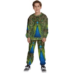 Peacock Feathers Bird Plumage Kids  Sweatshirt Set