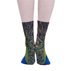 Peacock Feathers Bird Plumage Smooth Crew Length Tube Socks