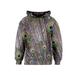 Peacock Bird Feathers Plumage Peacock Kids  Pullover Hoodie