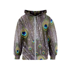 Peacock Bird Feathers Plumage Peacock Kids  Zipper Hoodie