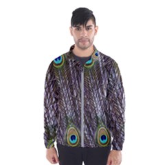 Peacock Bird Feathers Plumage Peacock Men s Windbreaker