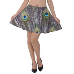 Peacock Bird Feathers Plumage Peacock Velvet Skater Skirt