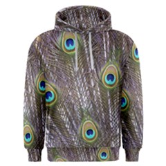 Peacock Bird Feathers Plumage Peacock Men s Overhead Hoodie