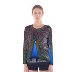 Bird Peacock Feathers Women s Long Sleeve T-shirt