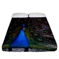 Bird Peacock Feathers Fitted Sheet (queen Size) by Perong