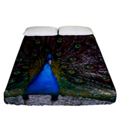 Bird Peacock Feathers Fitted Sheet (california King Size) by Perong