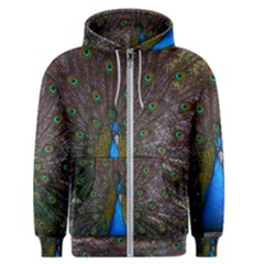 Bird Peacock Feathers Men s Zipper Hoodie