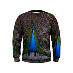 Bird Peacock Feathers Kids  Sweatshirt