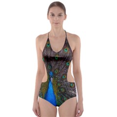 Bird Peacock Feathers Cut-out One Piece Swimsuit by Perong