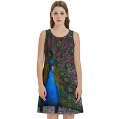 Bird Peacock Feathers Round Neck Sleeve Casual Dress With Pockets by Perong