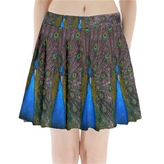 Bird Peacock Feathers Pleated Mini Skirt by Perong