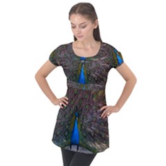 Bird Peacock Feathers Puff Sleeve Tunic Top by Perong