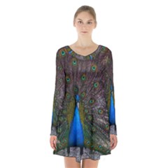 Bird Peacock Feathers Long Sleeve Velvet V-neck Dress