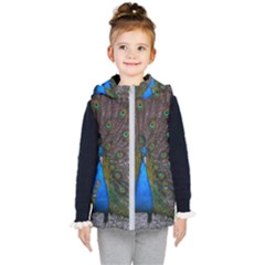 Bird Peacock Feathers Kids  Hooded Puffer Vest