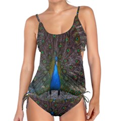 Bird Peacock Feathers Tankini Set by Perong