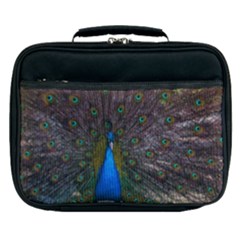 Bird Peacock Feathers Lunch Bag by Perong