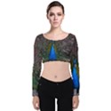 Bird Peacock Feathers Velvet Long Sleeve Crop Top View1