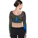 Bird Peacock Feathers Velvet Long Sleeve Crop Top View2