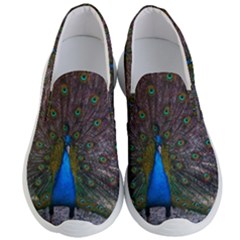 Bird Peacock Feathers Men s Lightweight Slip Ons by Perong