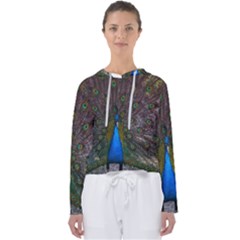 Bird Peacock Feathers Women s Slouchy Sweat