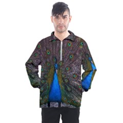 Bird Peacock Feathers Men s Half Zip Pullover