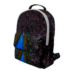 Bird Peacock Feathers Flap Pocket Backpack (large)