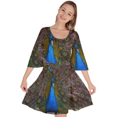 Bird Peacock Feathers Velour Kimono Dress by Perong