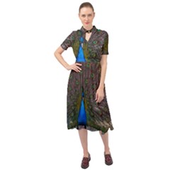 Bird Peacock Feathers Keyhole Neckline Chiffon Dress by Perong