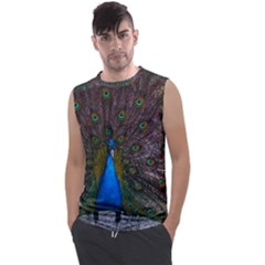 Bird Peacock Feathers Men s Regular Tank Top by Perong