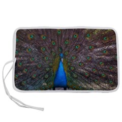 Bird Peacock Feathers Pen Storage Case (l) by Perong