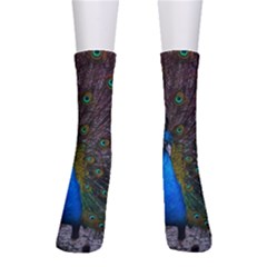 Bird Peacock Feathers Crew Socks