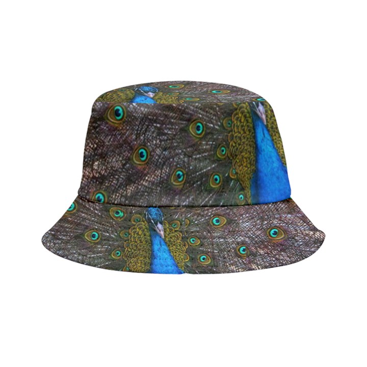 Bird Peacock Feathers Bucket Hat