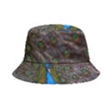 Bird Peacock Feathers Bucket Hat View2