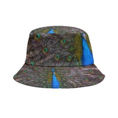 Bird Peacock Feathers Inside Out Bucket Hat by Perong