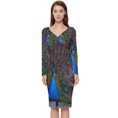 Bird Peacock Feathers Long Sleeve V-neck Bodycon Dress  by Perong