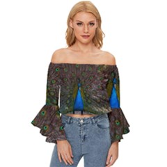 Bird Peacock Feathers Off Shoulder Flutter Bell Sleeve Top